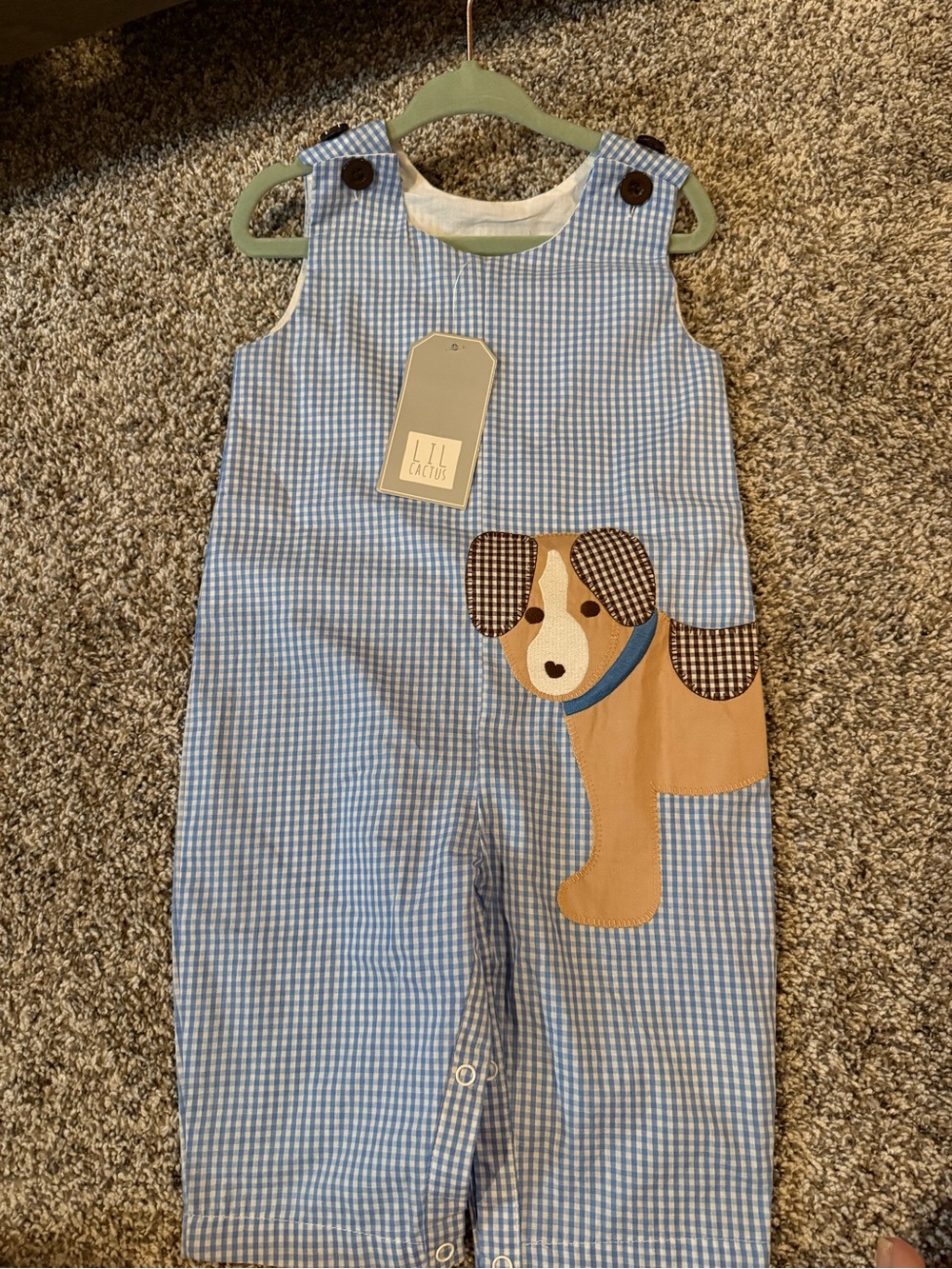 Lil Cactus Blue Gingham Dog Appliqué Overalls for Kids